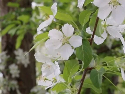 Grounded Breathing For Self-Compassion