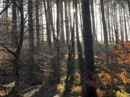 Grounded By The Earth