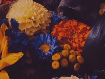 Grounded Calm: A Meditation To Realign Your Energy