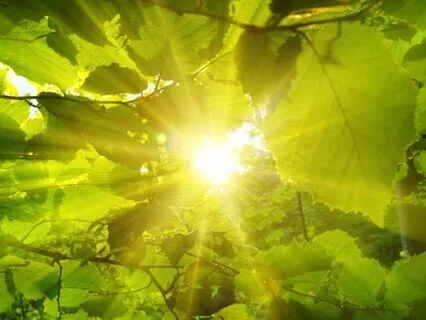 Grounded, Centered, And Expanded