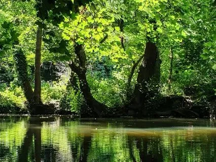 Grounded Clarity: 10 Minute Box Breathing Practice