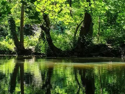 Grounded Clarity: 5 Minute Box Breathing Reset