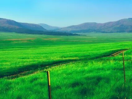 Grounded Confidence In The Meadow Visualization