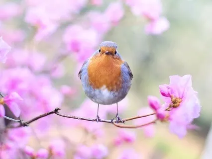 Grounded, Connected, Protected, And Safe