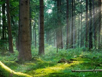 Grounded & Energized | Mini Breath Practice