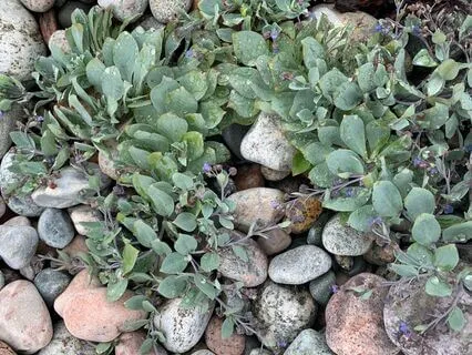 Grounded In Awareness In Unsettling Times