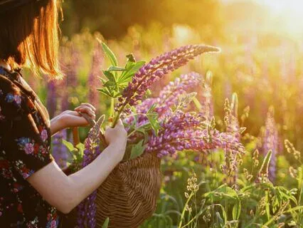 Grounded In Gratitude: Unlocking Daily Happiness