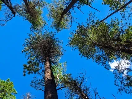 Grounded In Inner Peace