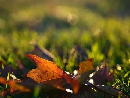 Grounded In Intention