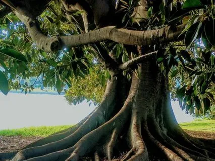 Grounded In Love: Micro Meditation