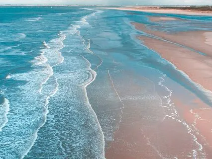 Grounded In Support: A Somatic Practice For Rooting And Rest