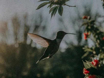 Grounded Morning Flow Meditation