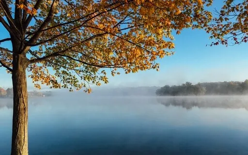 Grounded, Open & Balanced: A Guided Meditation For Everyday