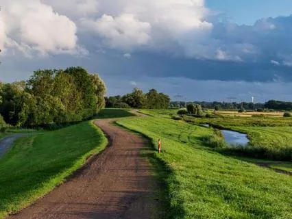 Grounded Reflection With Reiki Energy