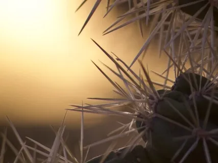 Grounded Safe And Protected