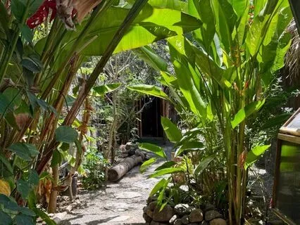 Grounded, Whole & Nourished Meditation