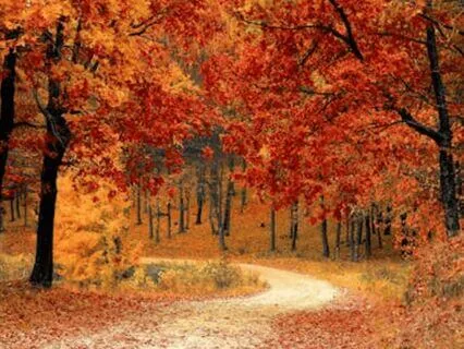 GROUNDED WITH THE EARTH:  RESPONSE INSTEAD OR REACTION