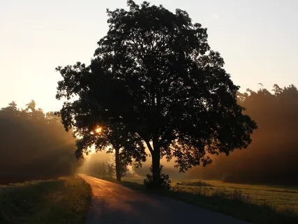 Grounding (396Hz Solfeggio With Binaural Theta Waves)