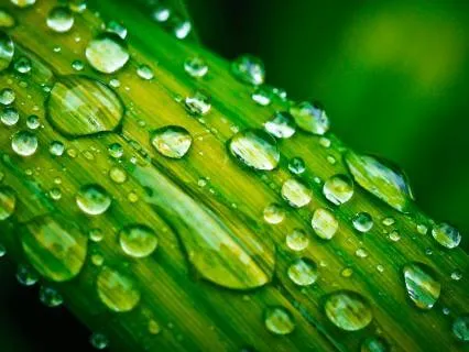 Seated Grounding: 5-Minute Pause At Your Desk (SimplePauses)