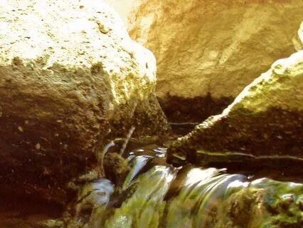 Grounding - A Practice For Connection