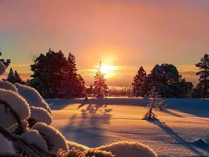 Grounding Affirmations