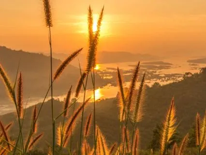 Grounding After Emotional Or Energetic Overexposure