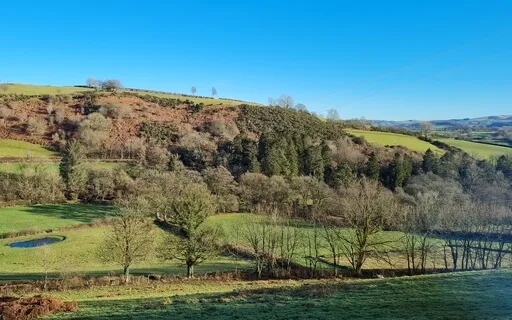 Grounding & Anxiety Releasing Sound Meditation