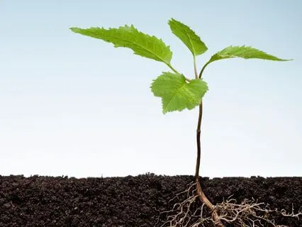 Grounding And Balance - Grounded Through Change