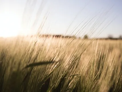 Grounding And Breathing For Managing Stress