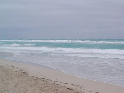 Grounding & Checking In Practice