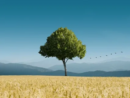 Grounding & Clearing Meditation (Music Free)