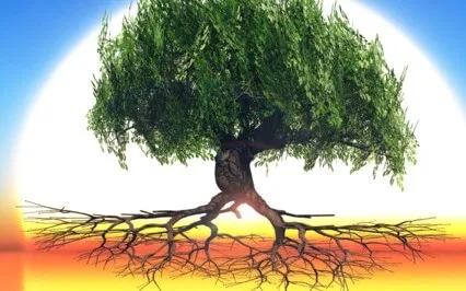 Grounding & Connecting To Your Roots