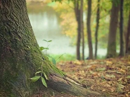 Grounding & Connecting