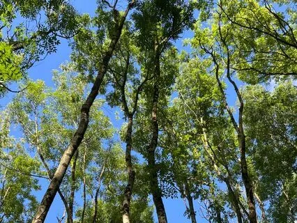 Grounding And Connecting