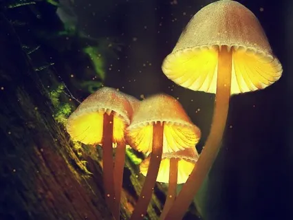 Grounding And Cosmic Connection Meditation