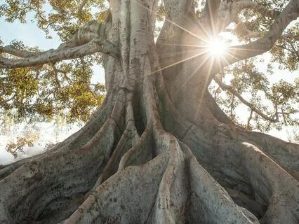 Grounding And Earthing Visualisation