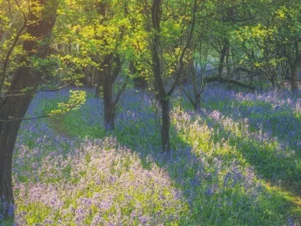 Grounding And Empowering Meditation