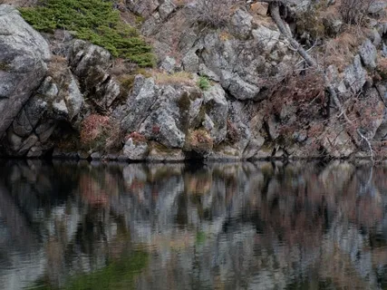 Grounding & Energetic Protection