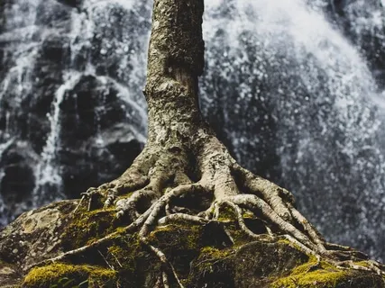 Grounding & Energy Clearing