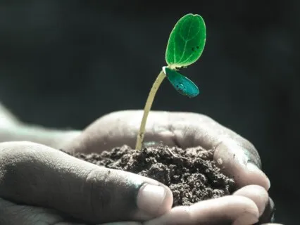 Grounding & Expanding