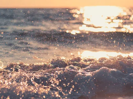 Grounding And Healing Meditation Journey