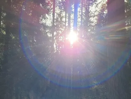 Grounding & Energy Healing