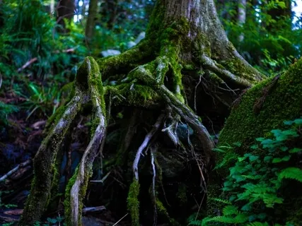 Grounding And Holding All Parts Of Yourself