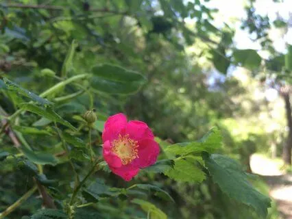 Grounding And Orienting Meditation