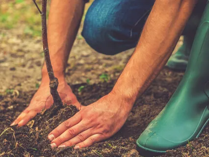 Grounding & Protection