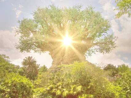 Grounding And Recharging 