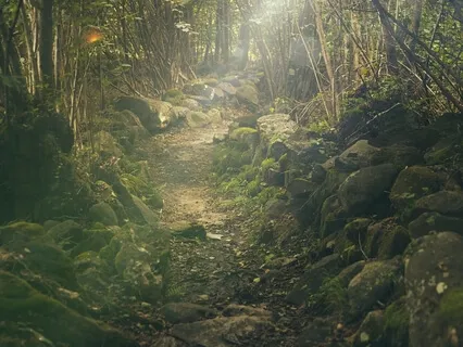 Grounding and Release Meditation