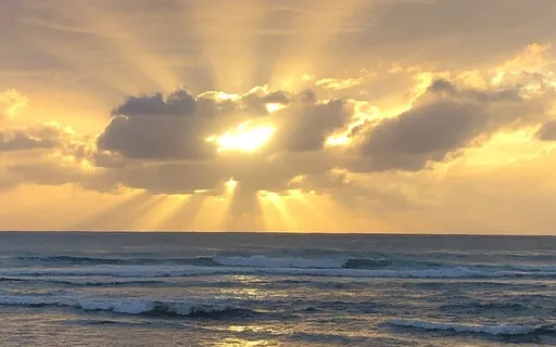 Grounding & Replenishing For Hospital Staff