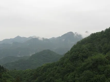 Grounding And Rooting Qigong