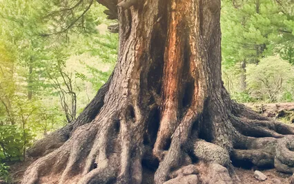 Grounding And Running Your Energy